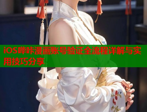 iOS哔咔漫画账号验证全流程详解与实用技巧分享