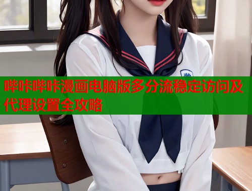 哔咔哔咔漫画电脑版多分流稳定访问及代理设置全攻略  第2张