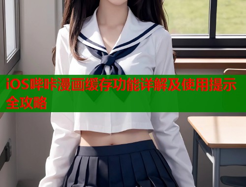 iOS哔咔漫画缓存功能详解及使用提示全攻略