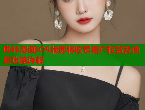 哔咔漫画iOS版即将收费用户权益及使用攻略详解  第1张