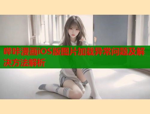 哔咔漫画iOS版图片加载异常问题及解决方法解析  第2张