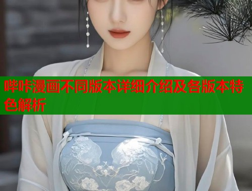 哔咔漫画不同版本详细介绍及各版本特色解析  第2张