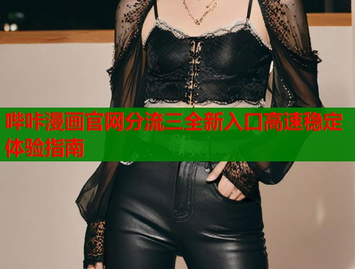 哔咔漫画官网分流三全新入口高速稳定体验指南