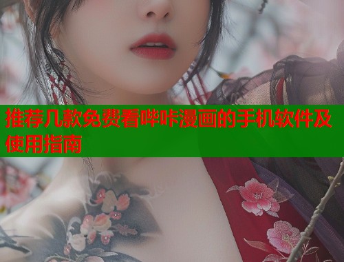 推荐几款免费看哔咔漫画的手机软件及使用指南  第2张